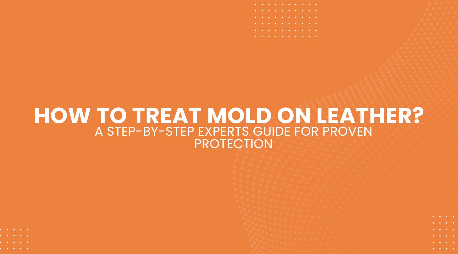 How to Treat Mold on Leather? A Step-by-Step Experts Guide for Proven Protection