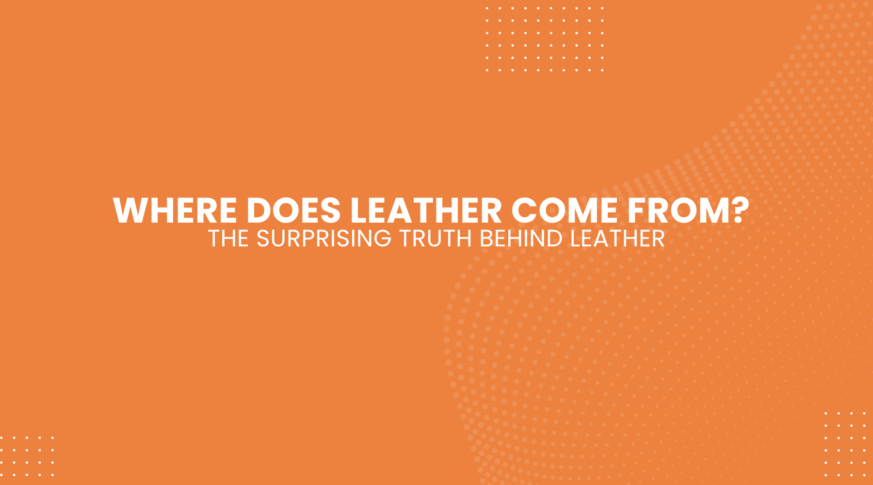 Where Does Leather Come From The Surprising Truth Behind Leather