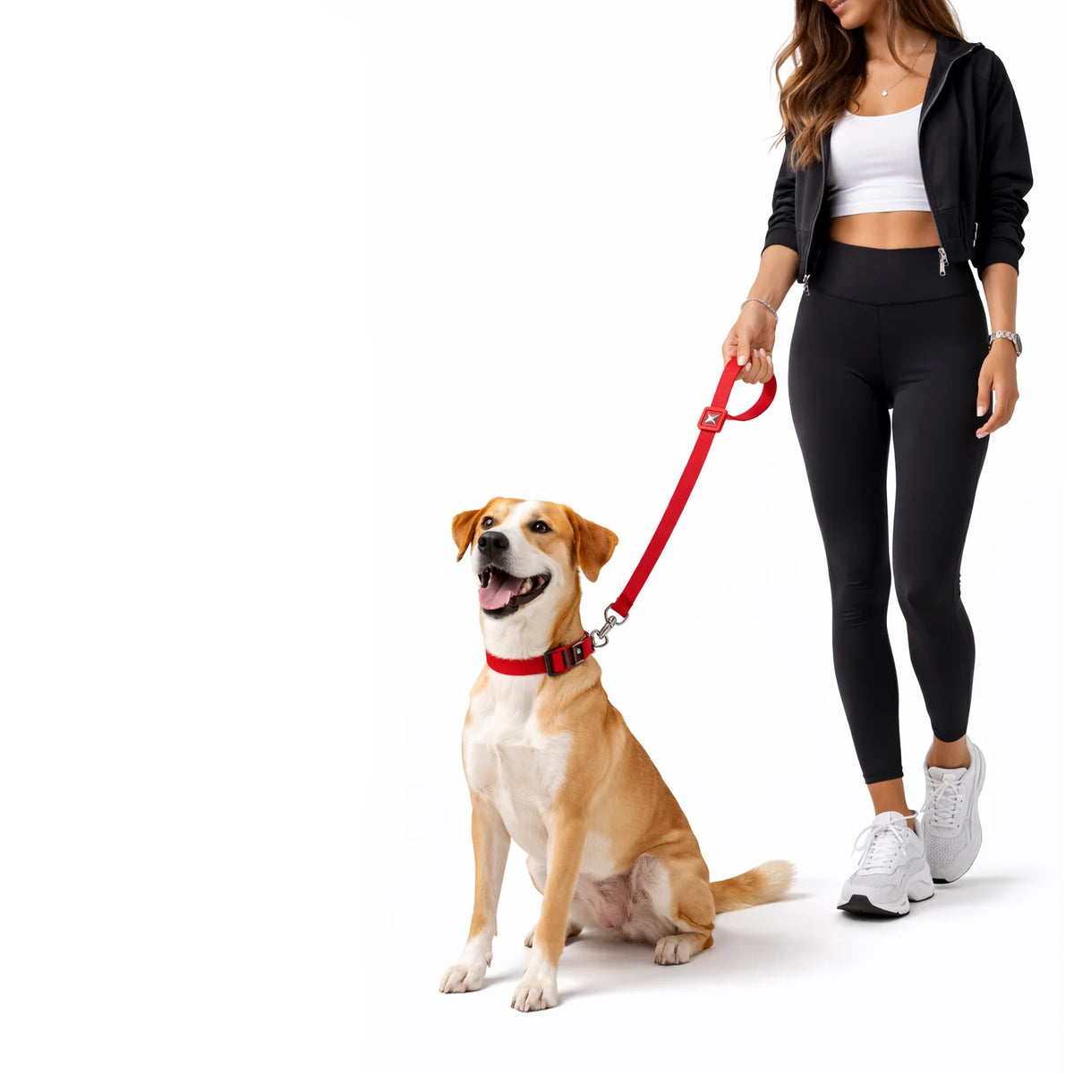 Solid Color Leash