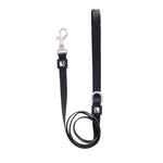 Solid Color Leash