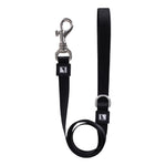Solid Color Leash