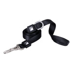 Solid Color Leash