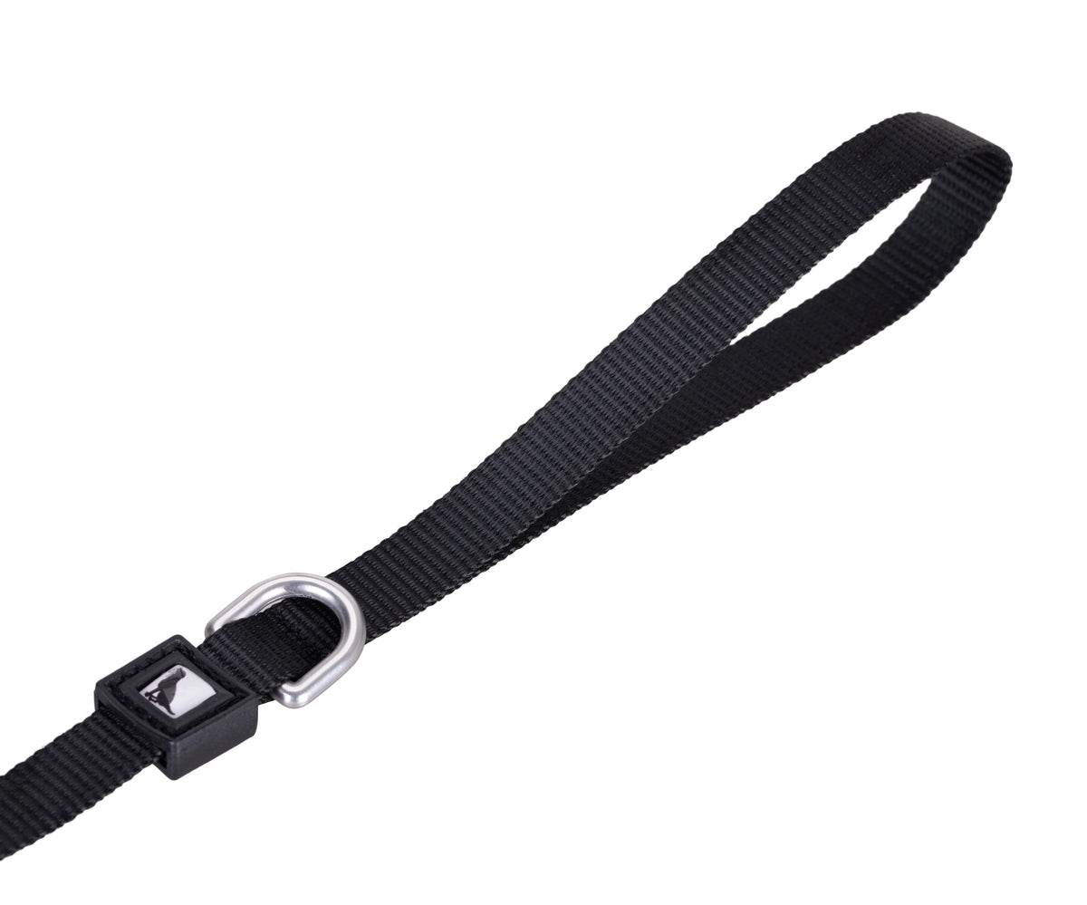 Solid Color Leash