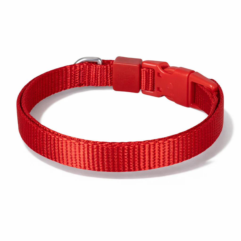 Solid Color Dog & Cat Collar