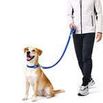 Solid Color Leash