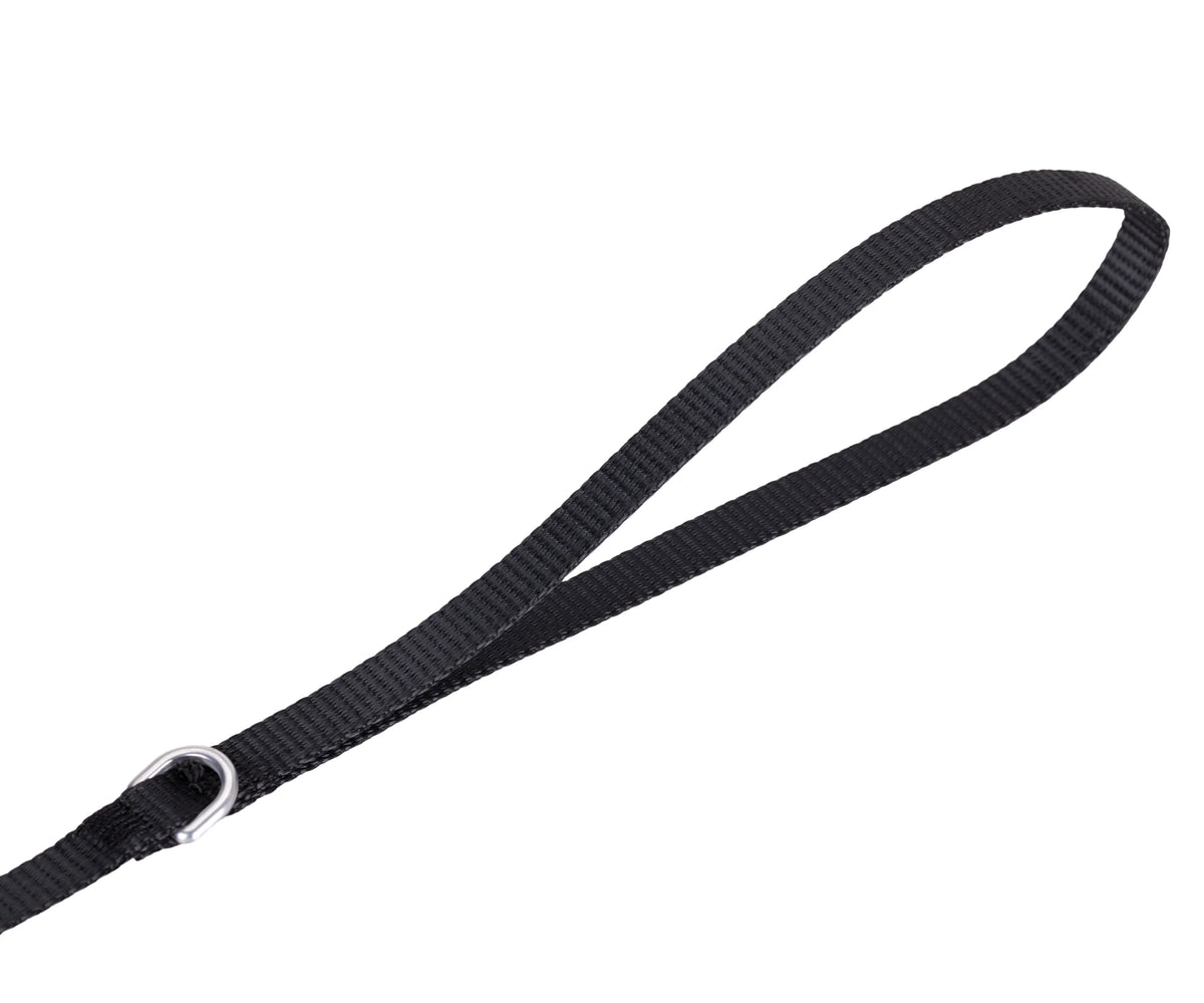 Solid Color Leash