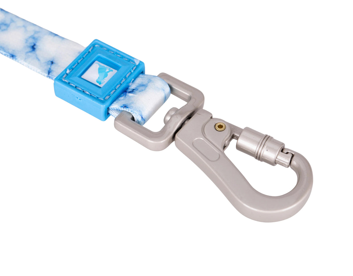 Patterned Recycled Leash