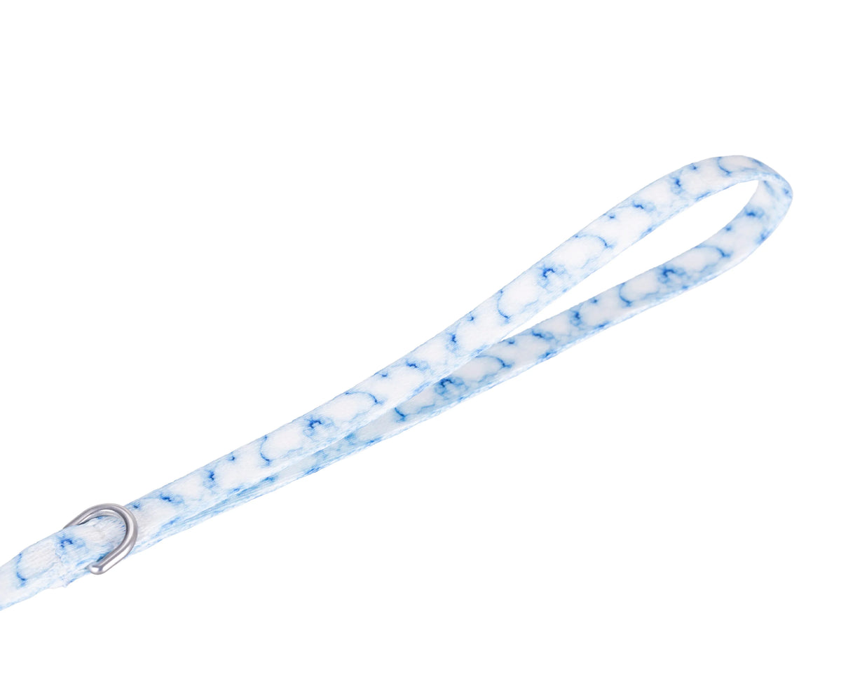 Patterned Recycled Leash