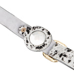 Apple Dog Collar AirTag Holder (500 mm, adjustable)