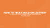 How to Treat Mold on Leather? A Step-by-Step Experts Guide for Proven Protection