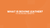 The Ultimate Guide on What Is Bovine Leather and Its Incredible Benefits