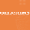 Where Does Leather Come From The Surprising Truth Behind Leather