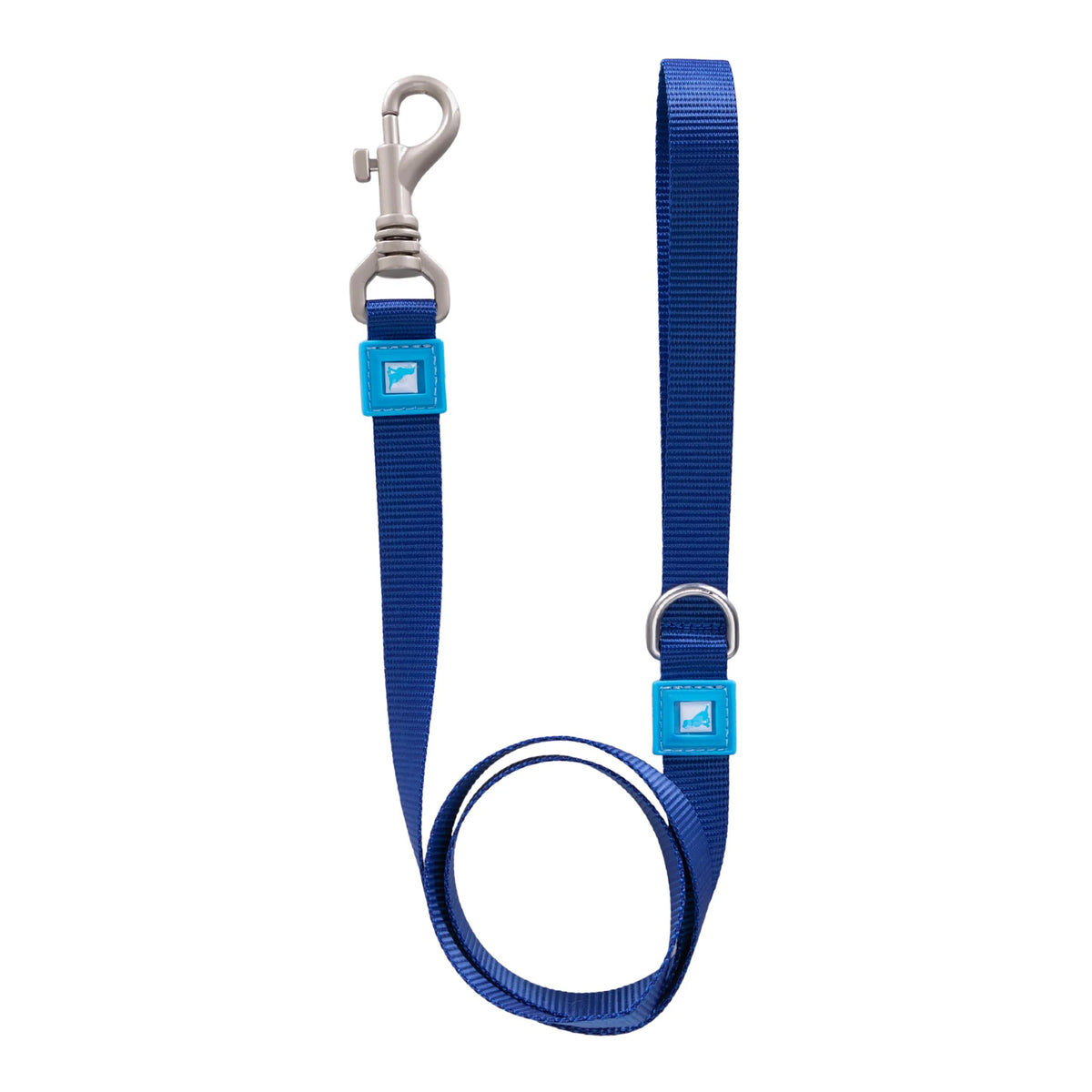 Solid Color Leash