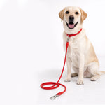 Polypropylene Rope Leash - 8mm/150cm
