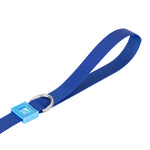 Solid Color Leash
