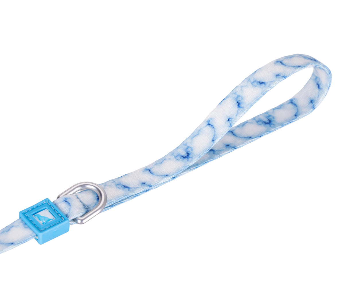 Patterned Recycled Leash