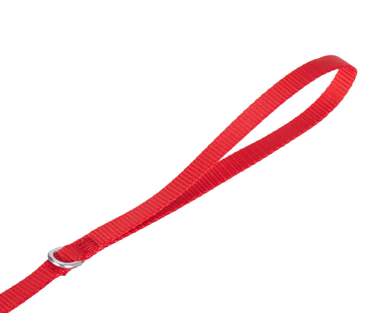 Solid Color Leash