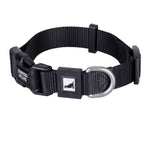 Solid Color Dog & Cat Collar