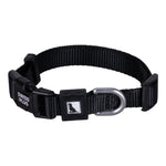 Solid Color Dog & Cat Collar