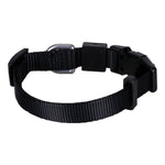 Solid Color Dog & Cat Collar