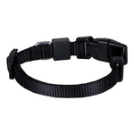 Solid Color Dog & Cat Collar
