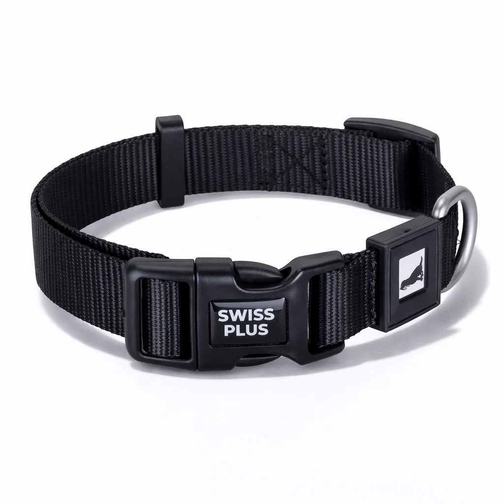 Solid Color Dog & Cat Collar