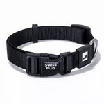 Solid Color Dog & Cat Collar