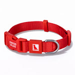Solid Color Dog & Cat Collar