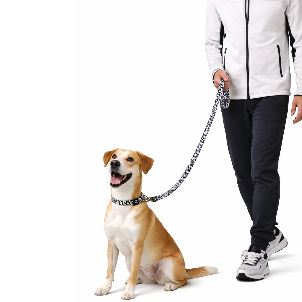 Patterned Recycled Leash