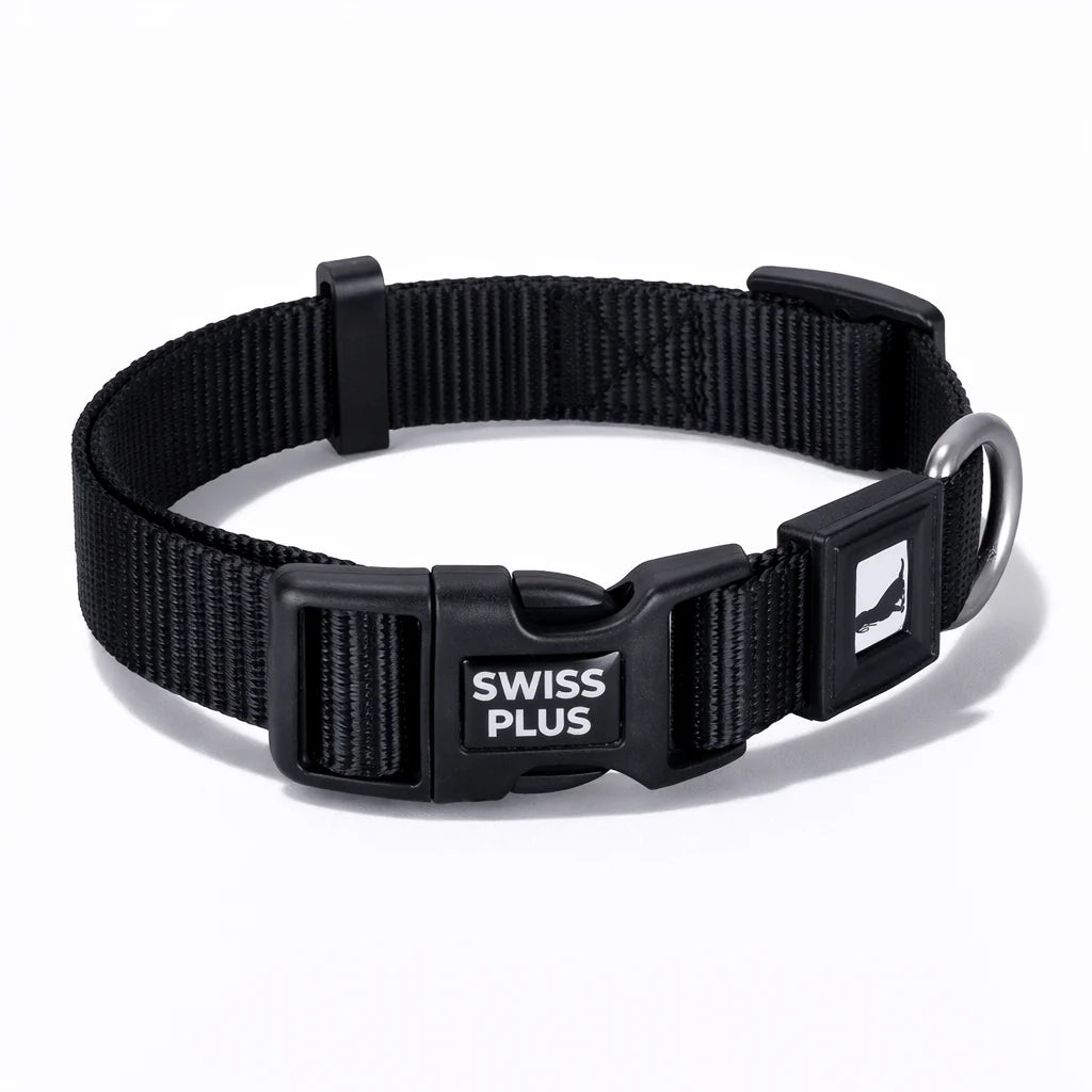 Solid Color Dog & Cat Collar